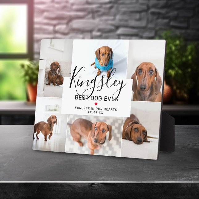 Chic Best Dog Ever | Foto Collage Pet Loss Fotoplatte (Von Creator hochgeladen)