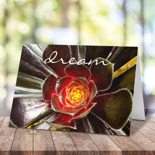Chic Black Orange Cactus Succulent Foto "Dream" Karte