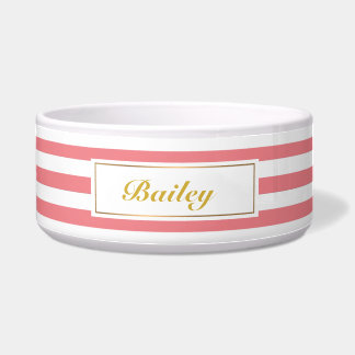 Chic Blush Rosa Streifen Gold Hundeschale Napf