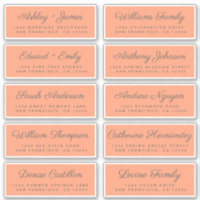 Chic Calligraphy Wedding Guest Address Labels