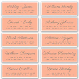 Chic Calligraphy Wedding Guest Address Labels