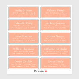 Chic Cantaloupe Orange Guest Address Labels