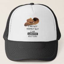 Chic Caps: Erhöhen Sie Ihren Stil!