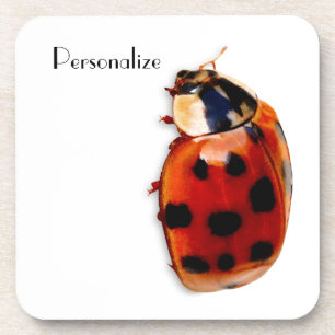 Chic Gepunktet Ladybug mit Namen Untersetzer