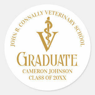 Chic Gold Veterinary School Graduation Party Runder Aufkleber