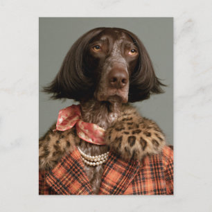 Chic Hund Fashionista im Vintage-Karomuster Postkarte