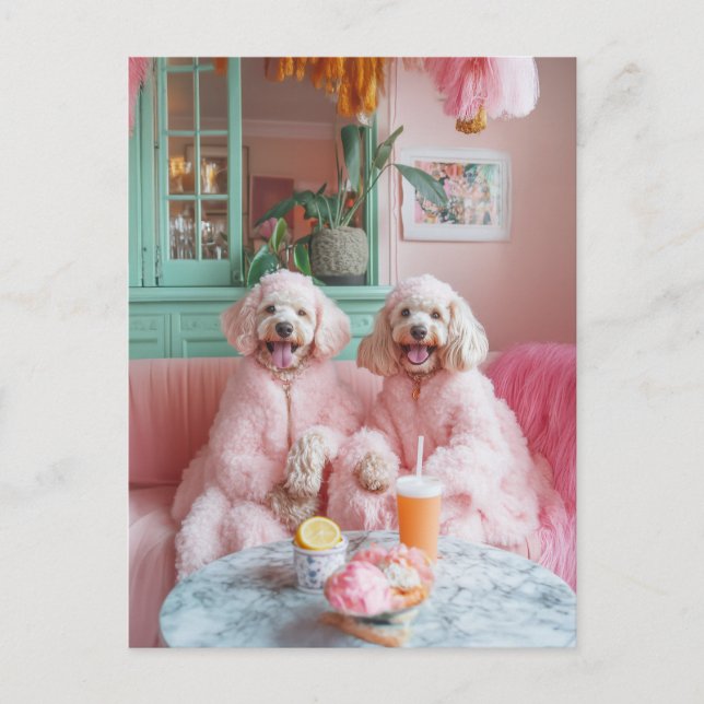 Chic Labradoodles in Pink Lounge Postkarte (Vorderseite)
