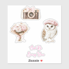 Chic Pink Beret Brown White Owl Be Seeing You Aufkleber