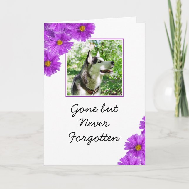 Chic Purple Flowers Foto Beileid Karte (Vorderseite)