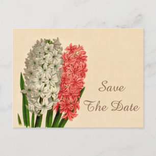 Chic Vintag Hyacinths 80. Geburtstag Save the Date Ankündigungspostkarte