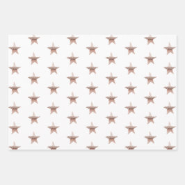 Chic Weihnachtsmetall Rose goldener Stern Weiß Geschenkpapier Set