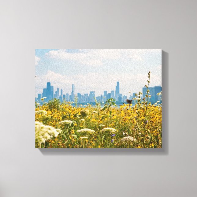 Chicago as seen from Montrose Harbor's bird Leinwanddruck (Vorderseite)