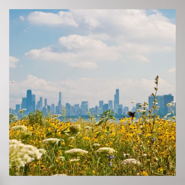 Chicago as seen from Montrose Harbor's bird Poster (Vorne)