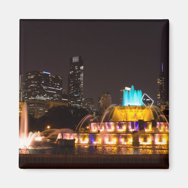 Chicago Grant Park Magnet (Vorne)