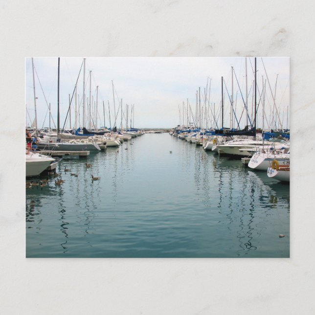 Chicago Harbour - Sailboat Postcard Postkarte (Vorderseite)
