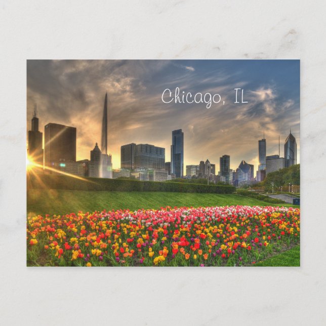 Chicago, IL Postcard Postkarte (Vorderseite)
