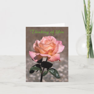 Chicago Peace Rose Card Karte