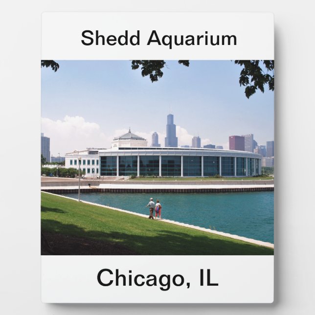 Chicago Shedd Aquarium Collection Fotoplatte (Vorderseite)