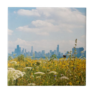 Chicago, wie vom Vogel Montrose Hafens gesehen Fliese