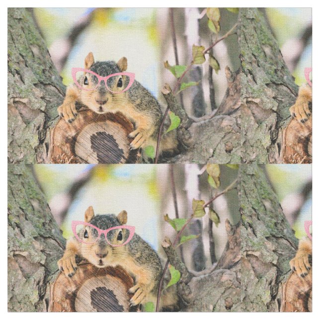 Chichhörnchen Stoff (Nahaufnahme)