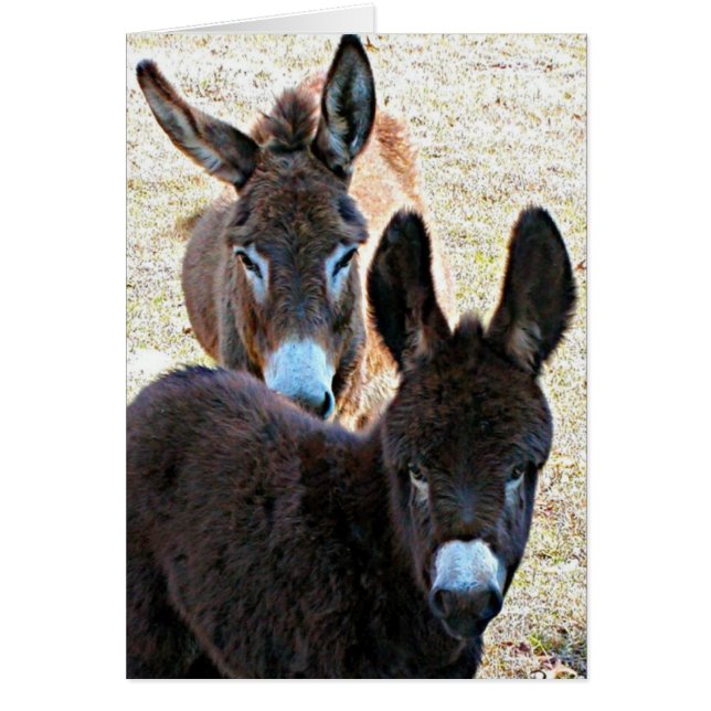 Chichiteux et maman (Devant)