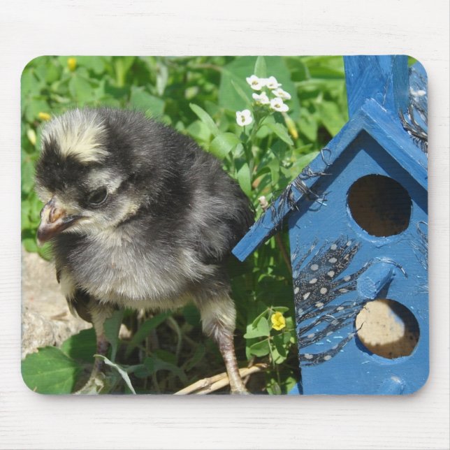 Chick and Mixed Media Birdhouse Mousepad (Vorne)
