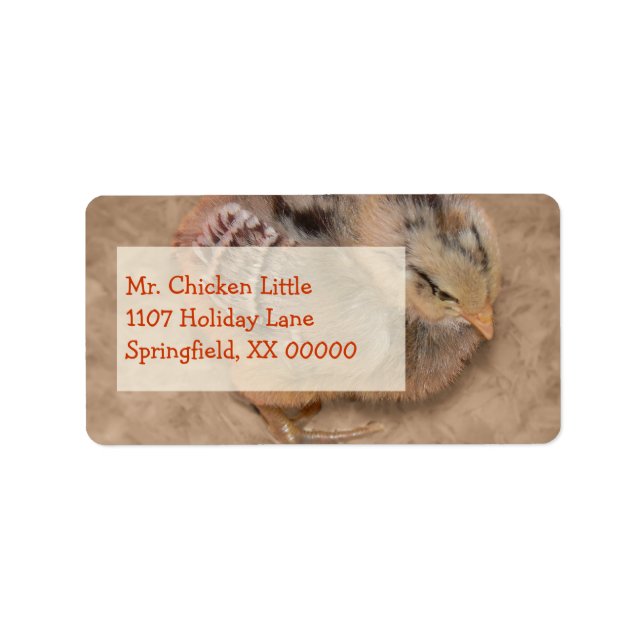 Chick - Fluffy Baby Chicken Adressaufkleber (Vorne)