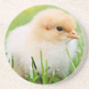Chick Getränkeuntersetzer