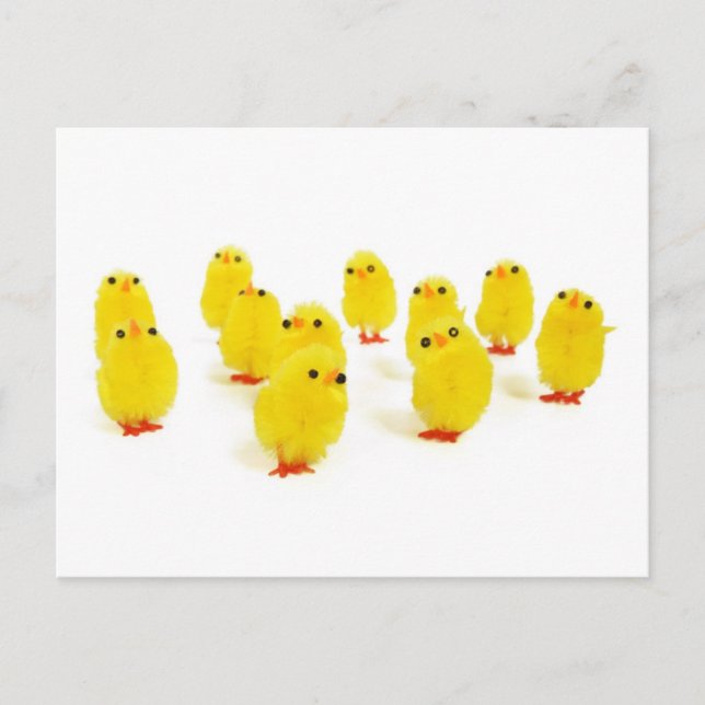 Chick-Magnet Chillout mit meinen Piepen lustiges F Postkarte (Vorderseite)