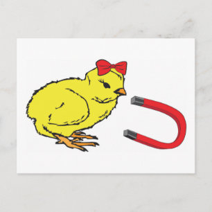 Chick Magnet lustiger Damenmensch Postkarte