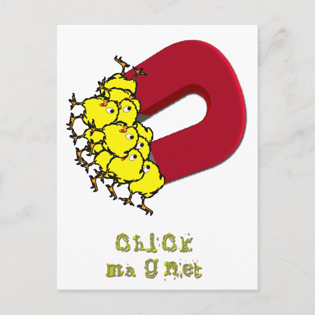 Chick Magnet Postkarte (Vorderseite)