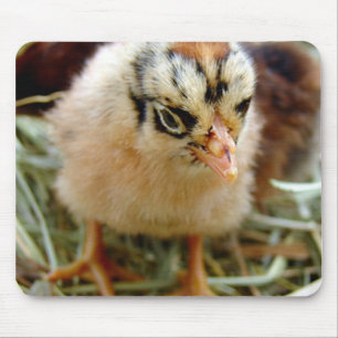 Chick Mousepad