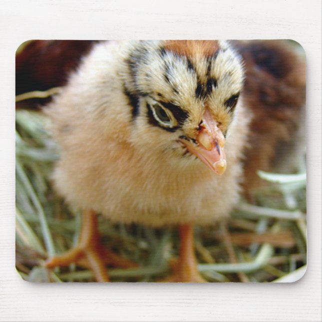 Chick Mousepad (Vorne)