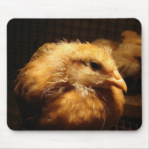 Chick Mousepad