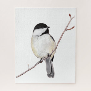 Chickadee