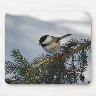 Chickadee 2 mousepad