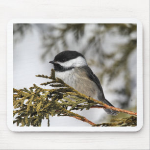 Chickadee_9505 Mousepad