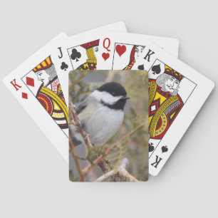 Chickadee_9654 Spielkarten