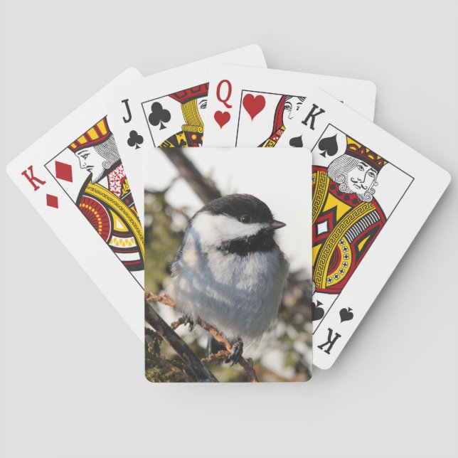 Chickadee 9693 spielkarten (Rückseite)