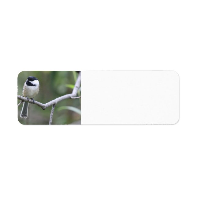 Chickadee-Adressetiketten (Vorne)