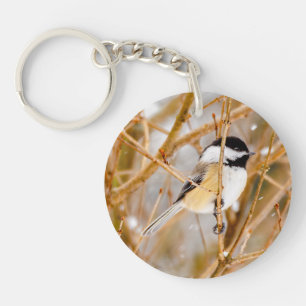 Chickadee au plafond noir - Photo originale