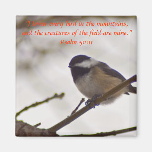 Chickadee auf einem Zweig Magnet
