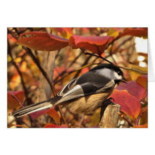 Chickadee Bird mit rosa roten Herbstblättern