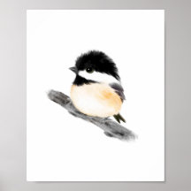 Chickadee Bird Poster Print