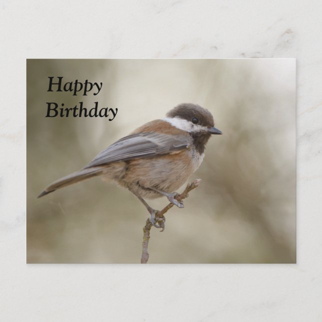 Chickadee Birthday Card Postkarte (Vorderseite)