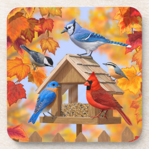 Chickadee Bluebird Kardinal Blue Jay Herbstleaves Getränkeuntersetzer