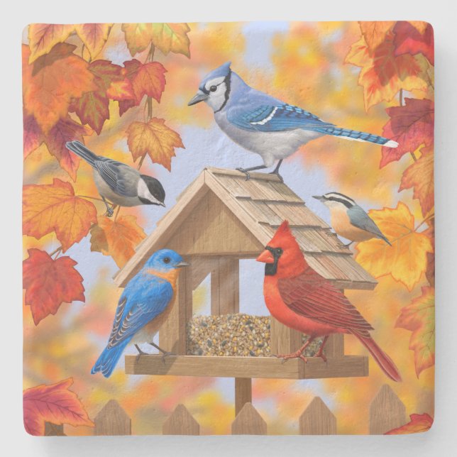 Chickadee Bluebird Kardinal Blue Jay Herbstleaves Steinuntersetzer (Vorderseite)