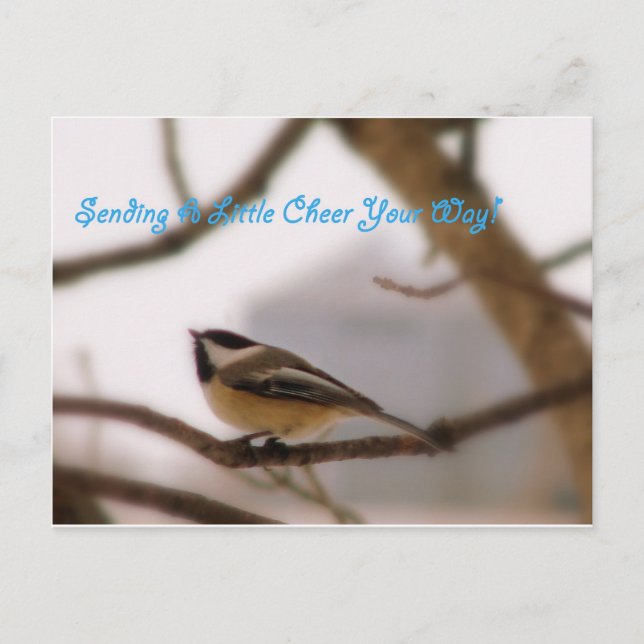 Chickadee Cheer Postkarte (Vorderseite)