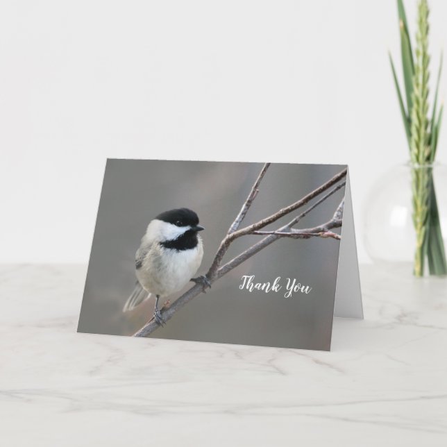 Chickadee-Foto Dankeskarte (Vorderseite)