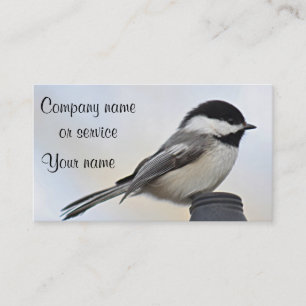 Chickadee-Foto Visitenkarte
